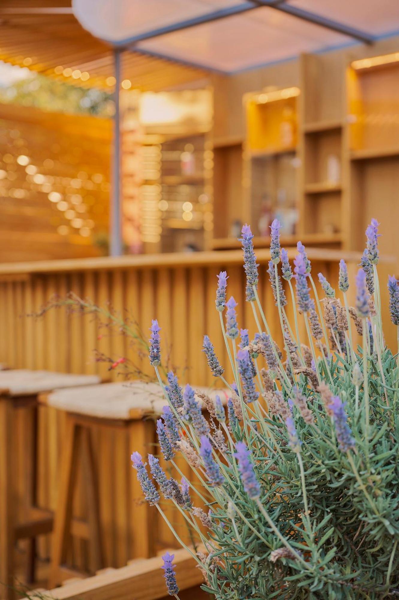 Hotel Materia Oaxaca Dış mekan fotoğraf